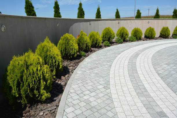 Best Driveway Repair Near Me  in Mikes, TX
